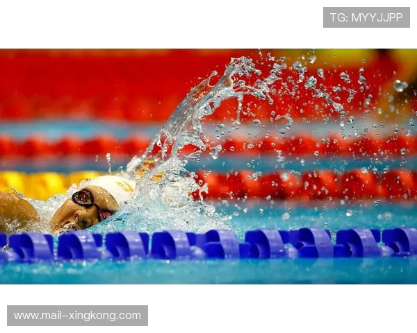 世界游泳接力赛：中国队夺冠